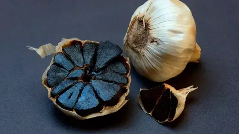 سیر سیاه گانودرما ستاره دخت + بسته بندی استاندارد